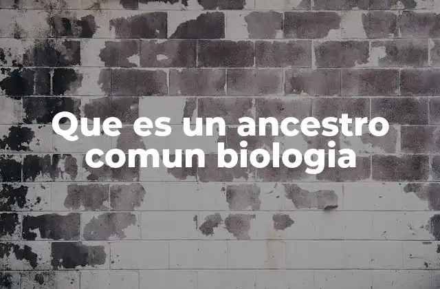 Que es un Ancestro Comun Biologia
