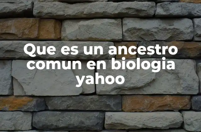 Que es un Ancestro Comun en Biologia Yahoo 2 El rol del ancestro común en la clasificación biológica