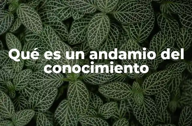 Qué es un Andamio Del Conocimiento