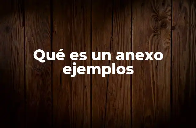 Qué es un Anexo Ejemplos