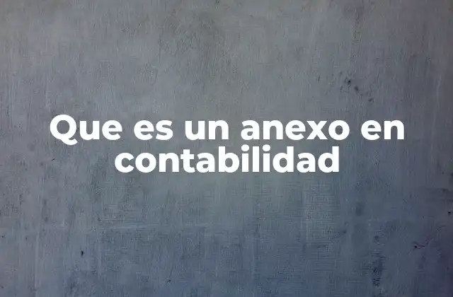 Que es un Anexo en Contabilidad