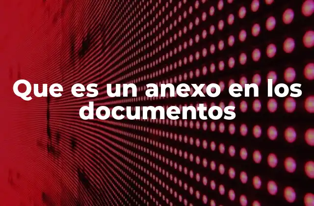Que es un Anexo en los Documentos