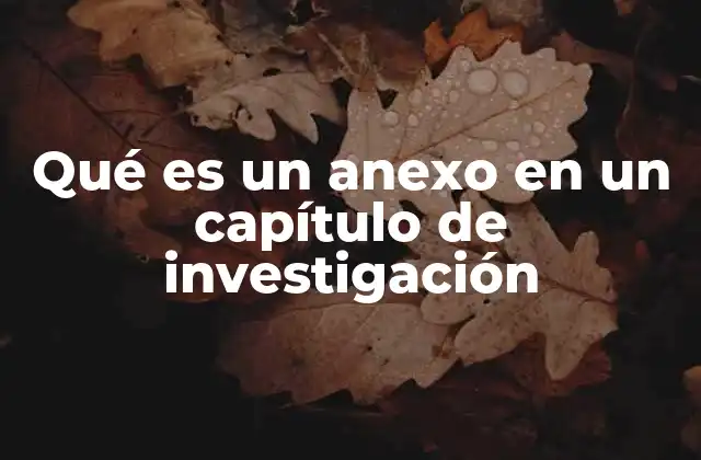 Qué es un Anexo en un Capítulo de Investigación 2 La importancia de los anexos en la estructura de un informe académico