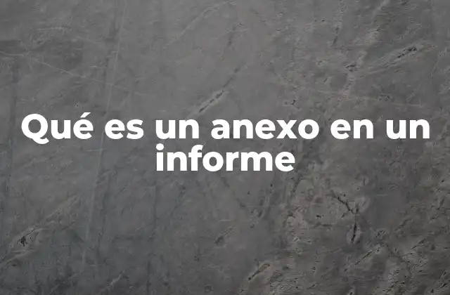 Qué es un Anexo en un Informe
