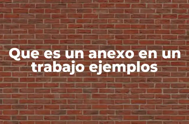 Que es un Anexo en un Trabajo Ejemplos