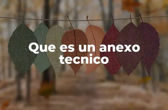 Que es un Anexo Tecnico