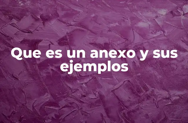 Que es un Anexo y Sus Ejemplos