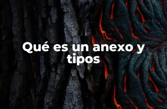 Qué es un Anexo y Tipos