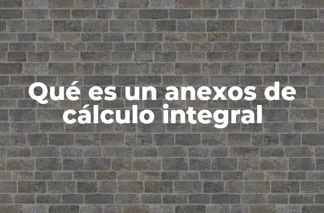 Qué es un Anexos de Cálculo Integral