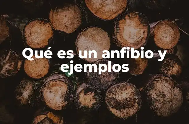 Qué es un Anfibio y Ejemplos