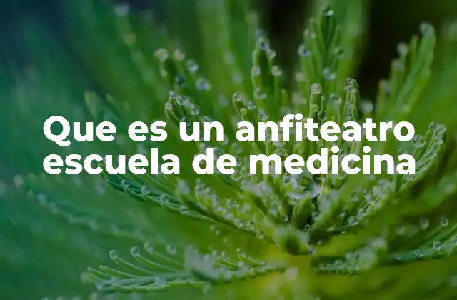 Que es un Anfiteatro Escuela de Medicina 2 La importancia del anfiteatro en la formación médica