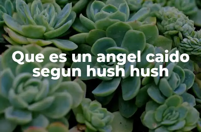 Que es un Angel Caido Segun Hush Hush
