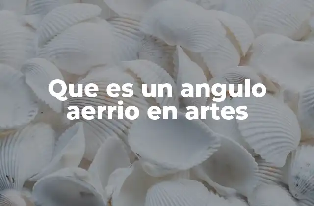 Que es un Angulo Aerrio en Artes