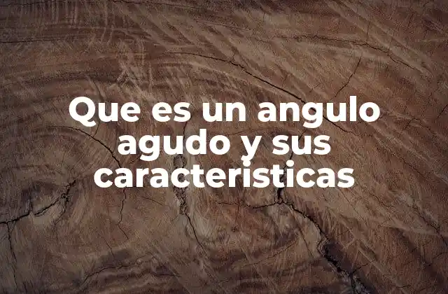 Que es un Angulo Agudo y Sus Caracteristicas