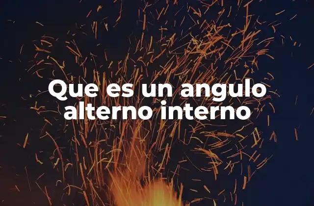 Que es un Angulo Alterno Interno