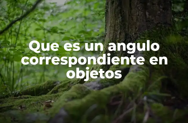 Que es un Angulo Correspondiente en Objetos