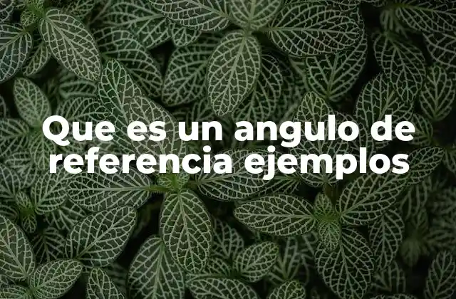 Que es un Angulo de Referencia Ejemplos 2 Importancia del ángulo de referencia en trigonometría
