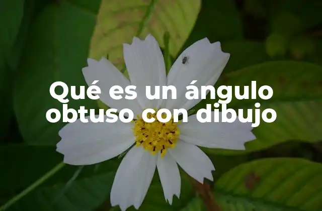 Qué es un Ángulo Obtuso con Dibujo