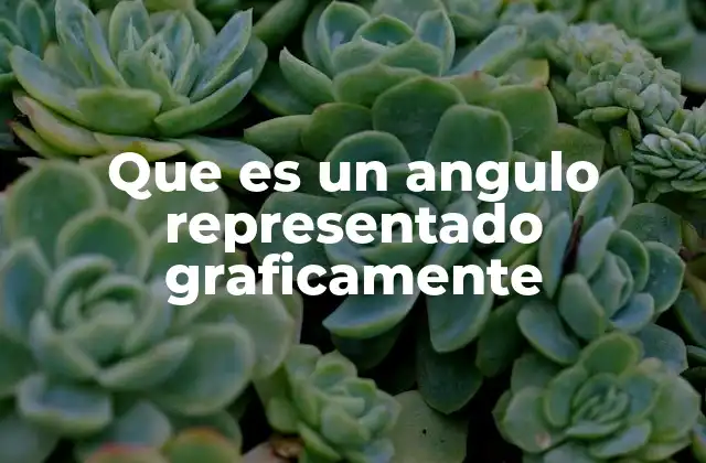 Que es un Angulo Representado Graficamente