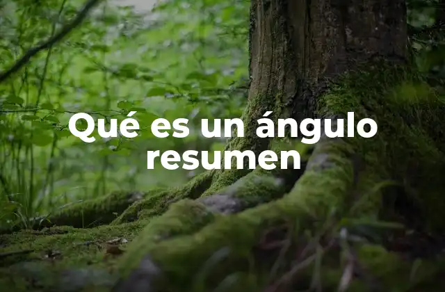 Qué es un Ángulo Resumen 2 La importancia de los ángulos en la geometría