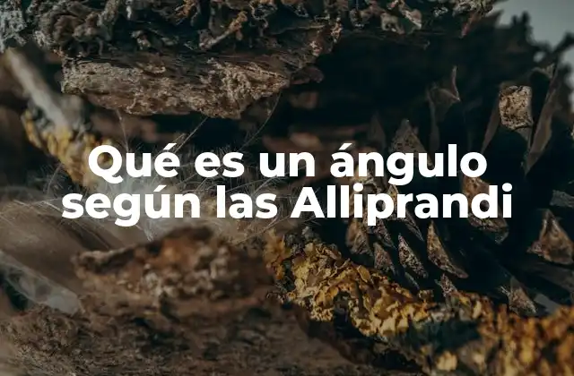 Qué es un Ángulo según las Alliprandi