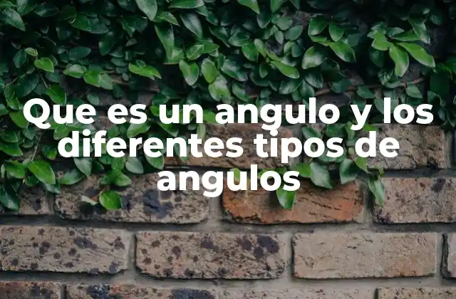 Que es un Angulo y los Diferentes Tipos de Angulos 2 La importancia de los ángulos en la geometría plana