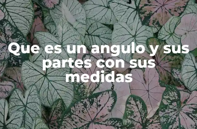 Las partes que conforman un ángulo