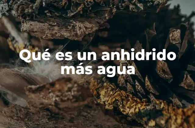 Qué es un Anhidrido Más Agua