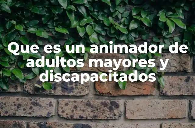 Que es un Animador de Adultos Mayores y Discapacitados