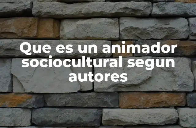 Que es un Animador Sociocultural Segun Autores