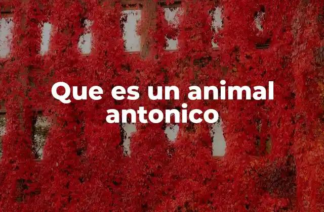 Que es un Animal Antonico