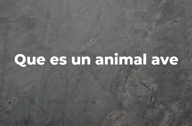Que es un Animal Ave