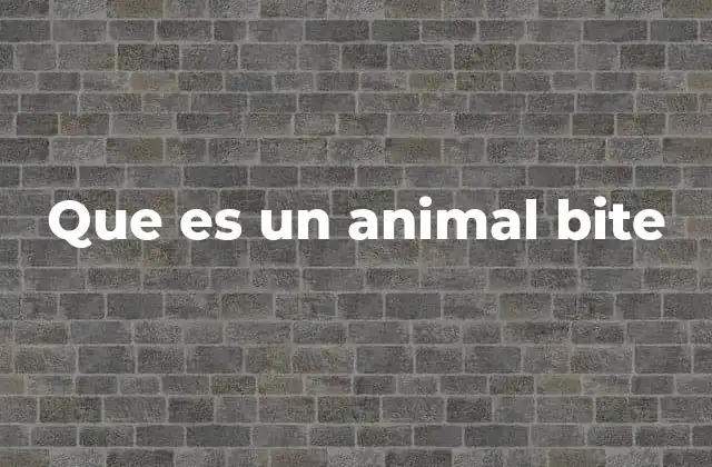 Que es un Animal Bite
