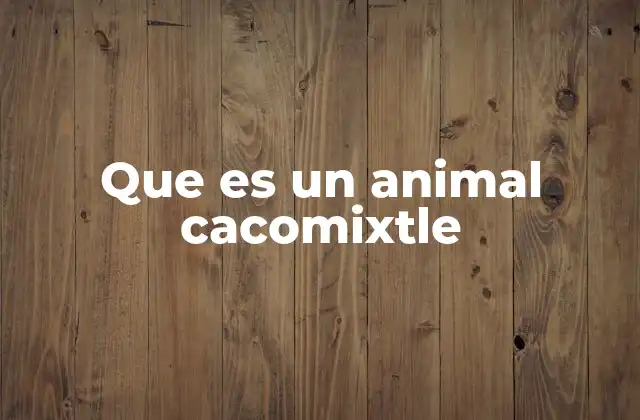 Características físicas del cacomixtle