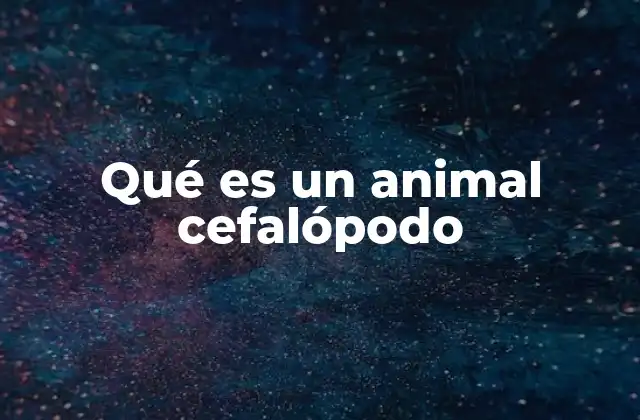 Qué es un Animal Cefalópodo
