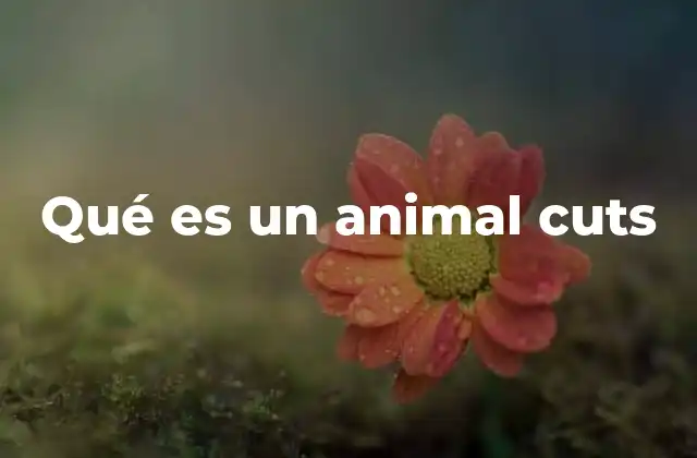 Qué es un Animal Cuts