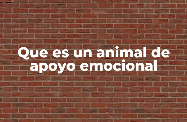 Que es un Animal de Apoyo Emocional