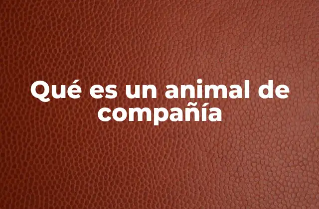 Qué es un Animal de Compañía