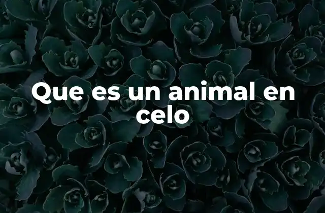 Que es un Animal en Celo