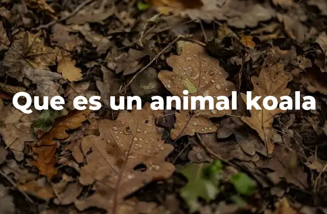 Que es un Animal Koala