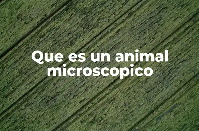 Que es un Animal Microscopico