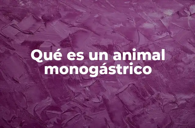 Qué es un Animal Monogástrico