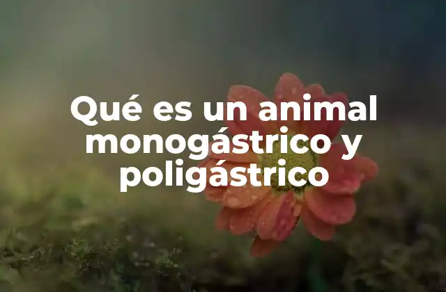 Qué es un Animal Monogástrico y Poligástrico