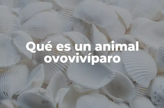 Qué es un Animal Ovovivíparo