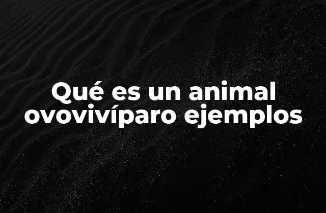 Qué es un Animal Ovovivíparo Ejemplos