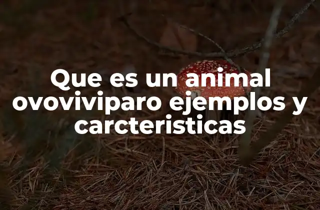Que es un Animal Ovoviviparo Ejemplos y Carcteristicas