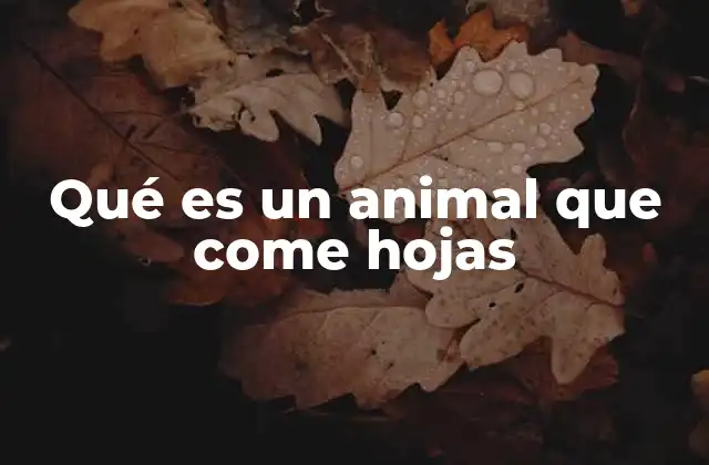 Qué es un Animal que Come Hojas