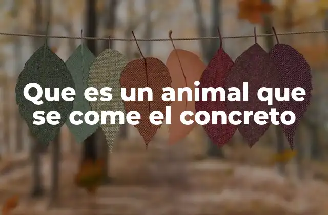 Que es un Animal que Se Come el Concreto