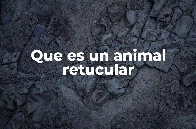 Que es un Animal Retucular 2 El papel del retículo en los rumiantes