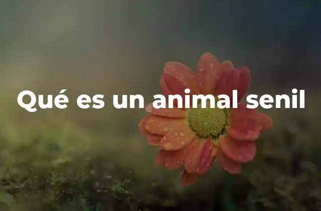 Qué es un Animal Senil